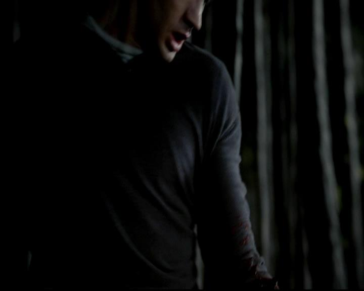 VampireDiariesWorld-dot-org_4x11CatchMeIfYouCan1780.jpg