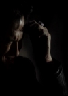 VampireDiariesWorld-dot-org_4x11CatchMeIfYouCan1662.jpg