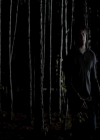 VampireDiariesWorld-dot-org_4x11CatchMeIfYouCan1779.jpg