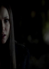 VampireDiariesWorld-dot-org_4x11CatchMeIfYouCan1814.jpg