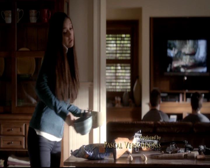 VampireDiariesWorld-dot-org_4x12AViewToAKill0154.jpg