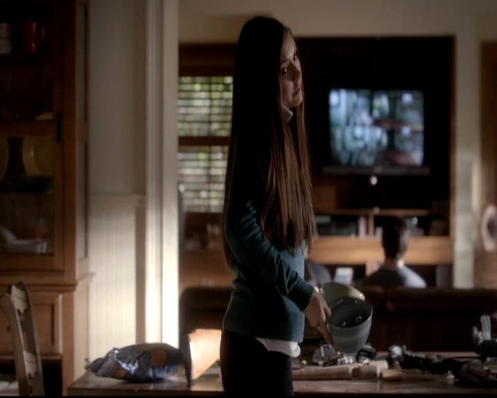 VampireDiariesWorld-dot-org_4x12AViewToAKill0156.jpg