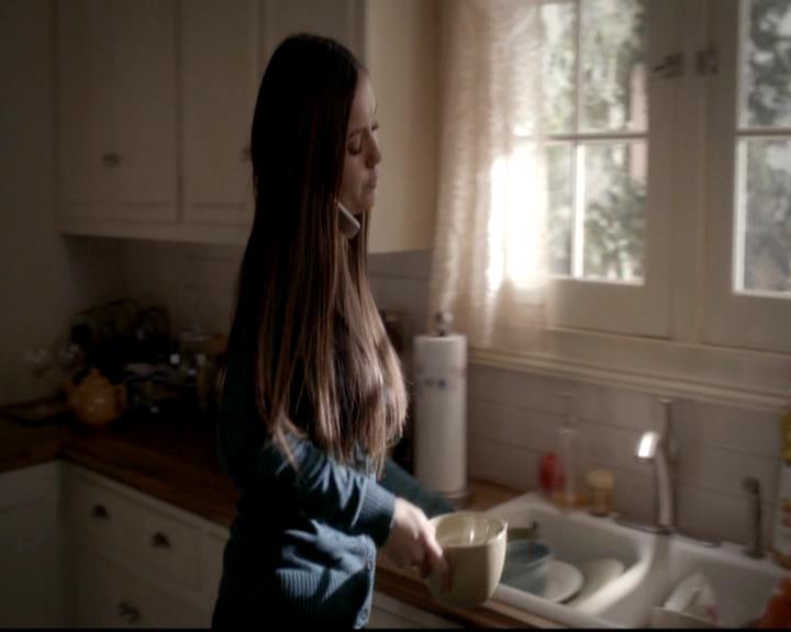 VampireDiariesWorld-dot-org_4x12AViewToAKill0174.jpg