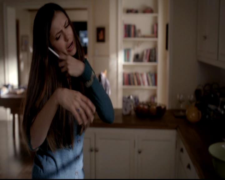 VampireDiariesWorld-dot-org_4x12AViewToAKill0219.jpg