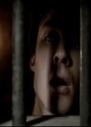 VampireDiariesWorld-dot-org_4x12AViewToAKill0373.jpg