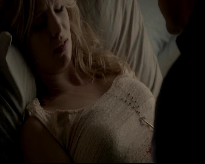 VampireDiariesWorld-dot-org_4x13IntoTheWild1583.jpg