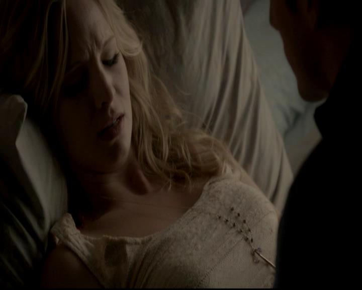 VampireDiariesWorld-dot-org_4x13IntoTheWild1584.jpg