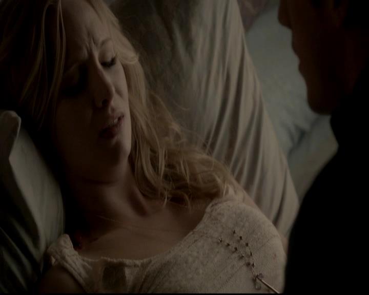 VampireDiariesWorld-dot-org_4x13IntoTheWild1587.jpg