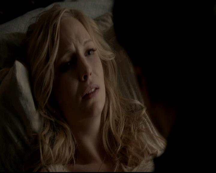 VampireDiariesWorld-dot-org_4x13IntoTheWild1623.jpg