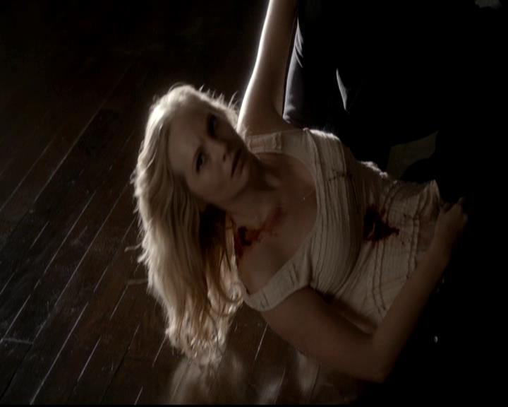 VampireDiariesWorld-dot-org_4x13IntoTheWild1631.jpg