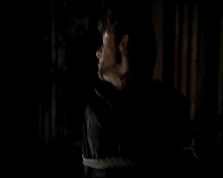 VampireDiariesWorld-dot-org_4x13IntoTheWild1696.jpg