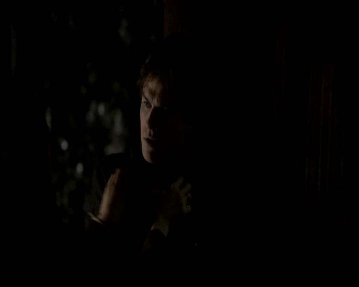 VampireDiariesWorld-dot-org_4x13IntoTheWild1738.jpg