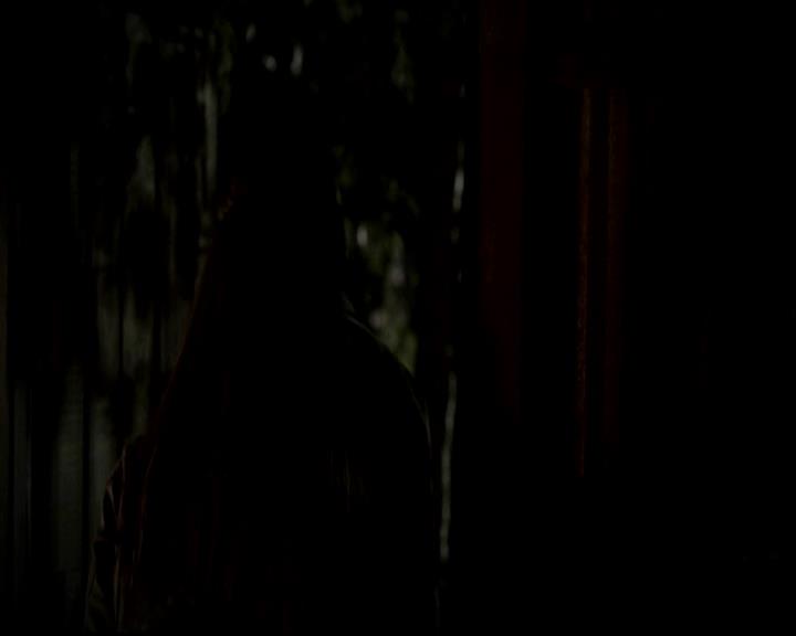 VampireDiariesWorld-dot-org_4x13IntoTheWild1744.jpg