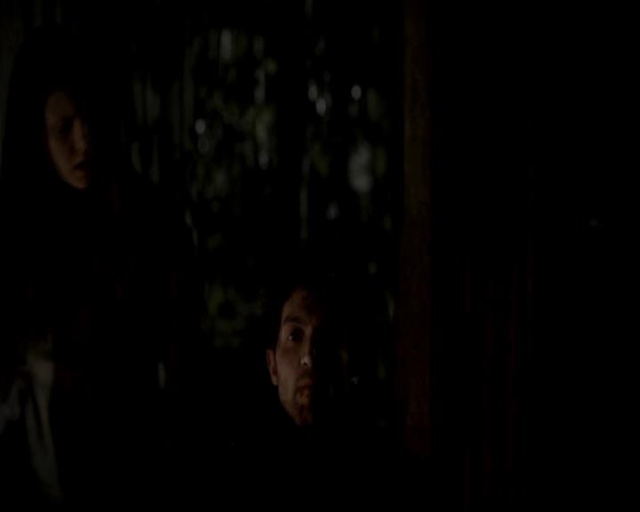 VampireDiariesWorld-dot-org_4x13IntoTheWild1748.jpg