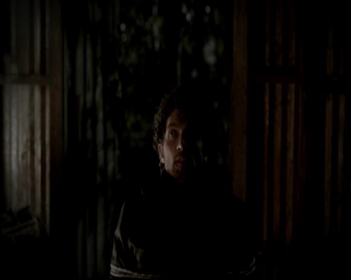 VampireDiariesWorld-dot-org_4x13IntoTheWild1749.jpg