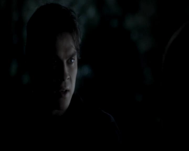 VampireDiariesWorld-dot-org_4x13IntoTheWild1772.jpg