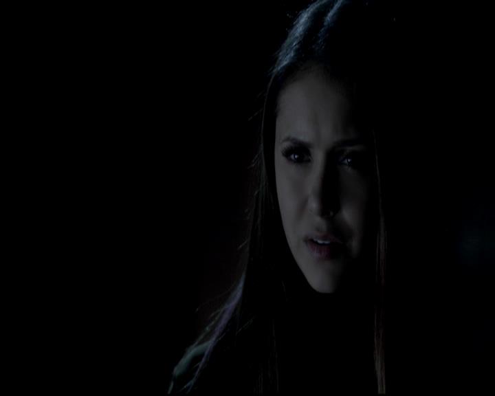 VampireDiariesWorld-dot-org_4x13IntoTheWild1779.jpg