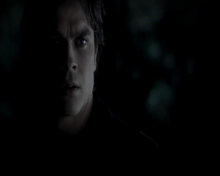 VampireDiariesWorld-dot-org_4x13IntoTheWild1783.jpg