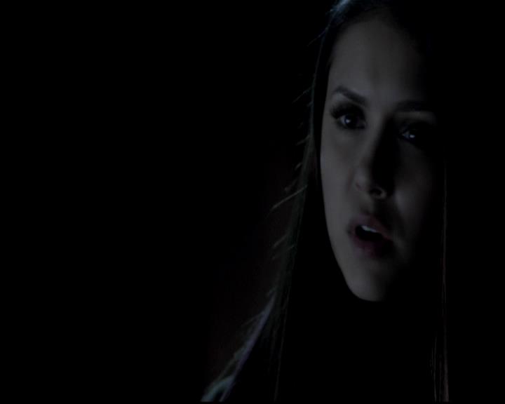 VampireDiariesWorld-dot-org_4x13IntoTheWild1791.jpg