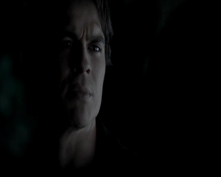 VampireDiariesWorld-dot-org_4x13IntoTheWild1799.jpg