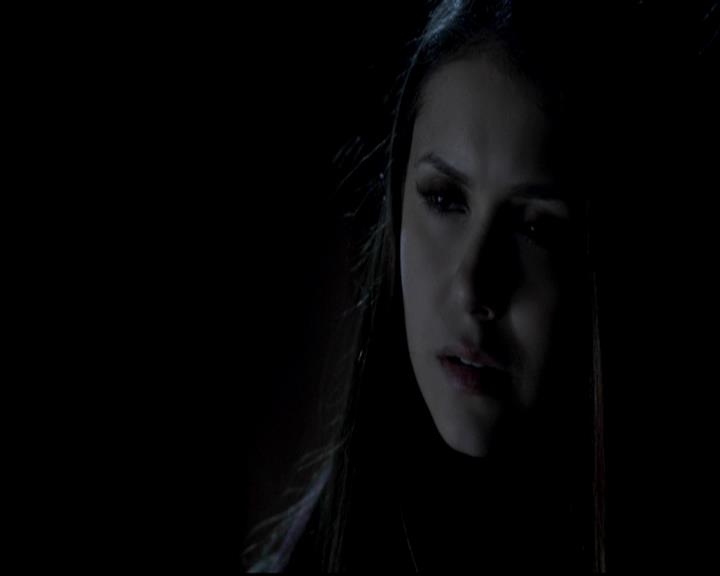 VampireDiariesWorld-dot-org_4x13IntoTheWild1801.jpg