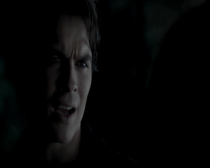 VampireDiariesWorld-dot-org_4x13IntoTheWild1804.jpg