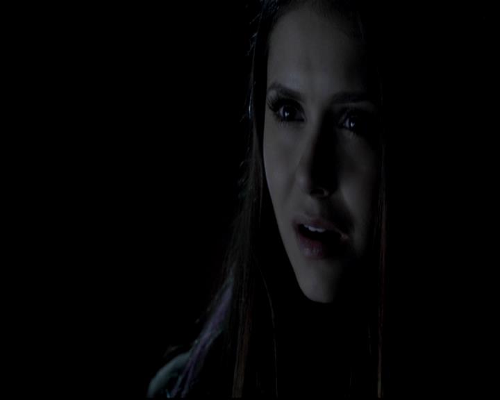 VampireDiariesWorld-dot-org_4x13IntoTheWild1816.jpg