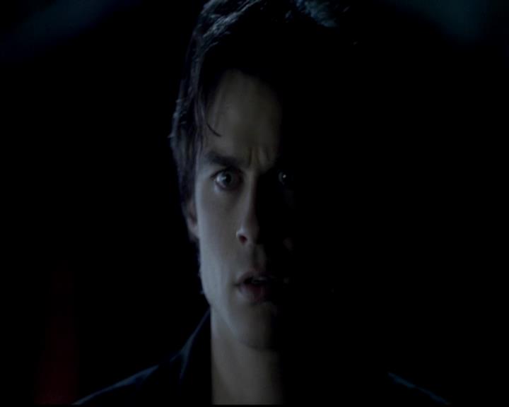 VampireDiariesWorld-dot-org_4x13IntoTheWild1829.jpg