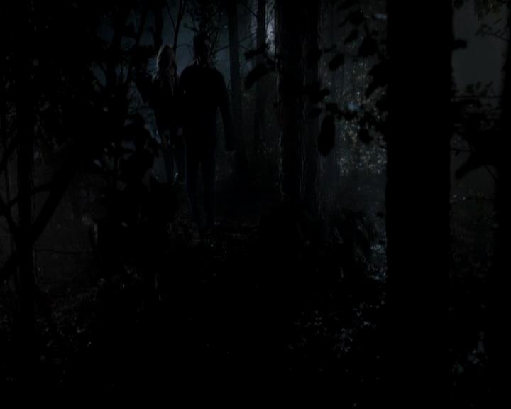 VampireDiariesWorld-dot-org_4x13IntoTheWild1891.jpg