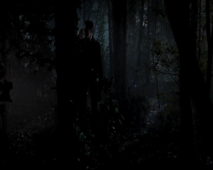 VampireDiariesWorld-dot-org_4x13IntoTheWild1894.jpg