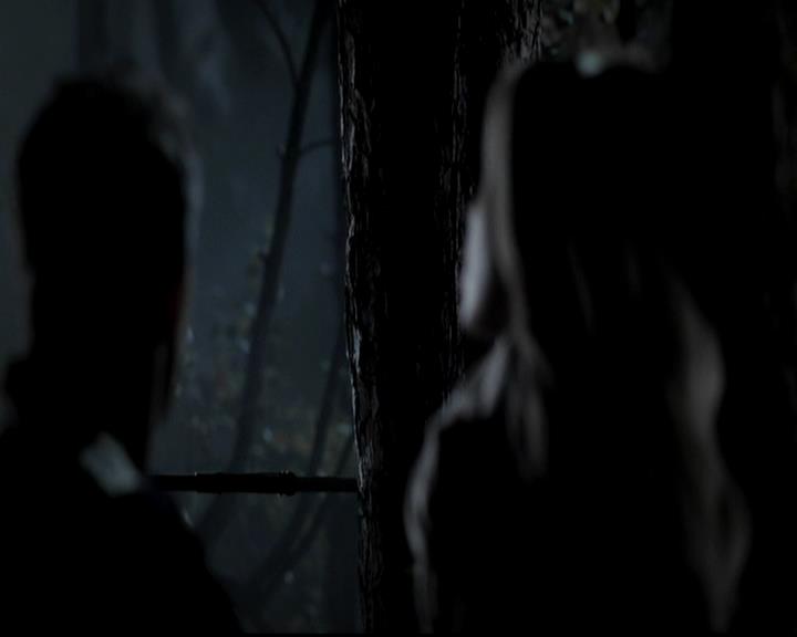 VampireDiariesWorld-dot-org_4x13IntoTheWild1898.jpg