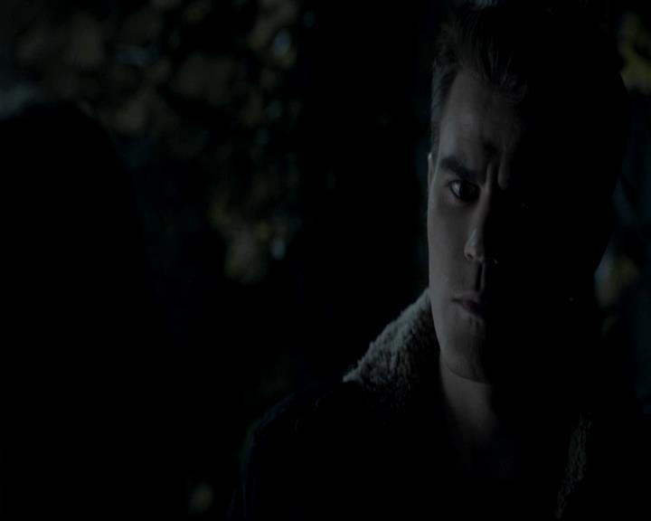 VampireDiariesWorld-dot-org_4x13IntoTheWild1923.jpg