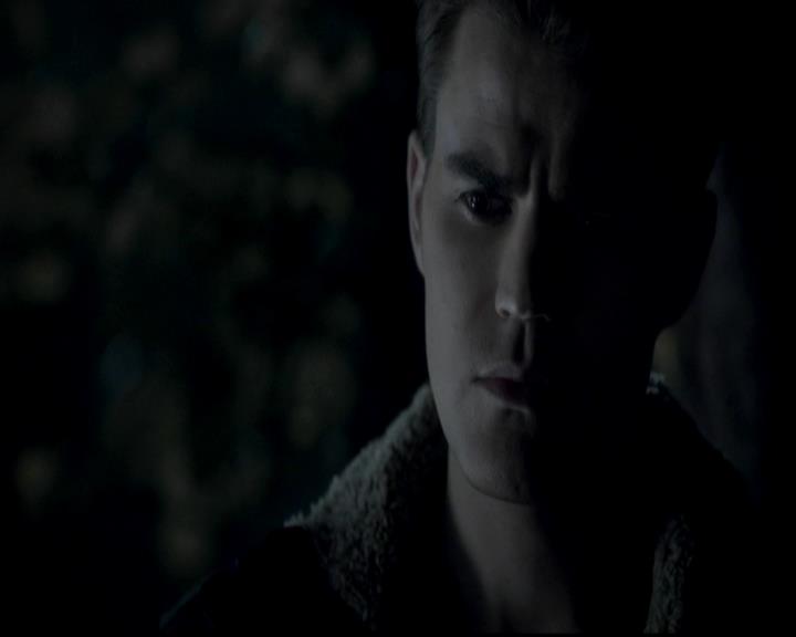 VampireDiariesWorld-dot-org_4x13IntoTheWild1949.jpg