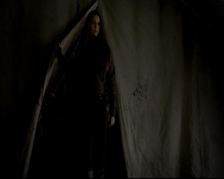 VampireDiariesWorld-dot-org_4x13IntoTheWild1951.jpg