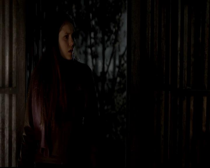 VampireDiariesWorld-dot-org_4x13IntoTheWild1956.jpg