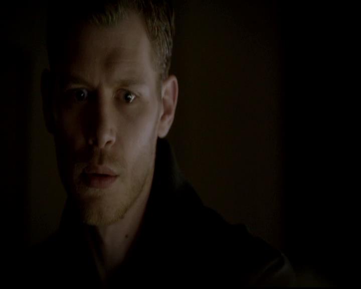 VampireDiariesWorld-dot-org_4x13IntoTheWild2108.jpg