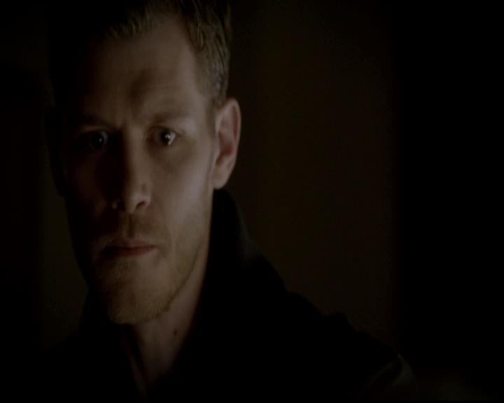 VampireDiariesWorld-dot-org_4x13IntoTheWild2109.jpg