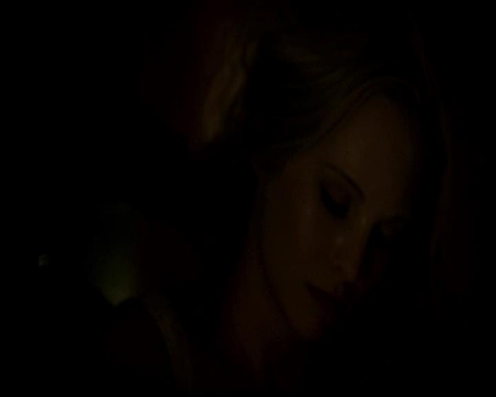 VampireDiariesWorld-dot-org_4x13IntoTheWild2116.jpg