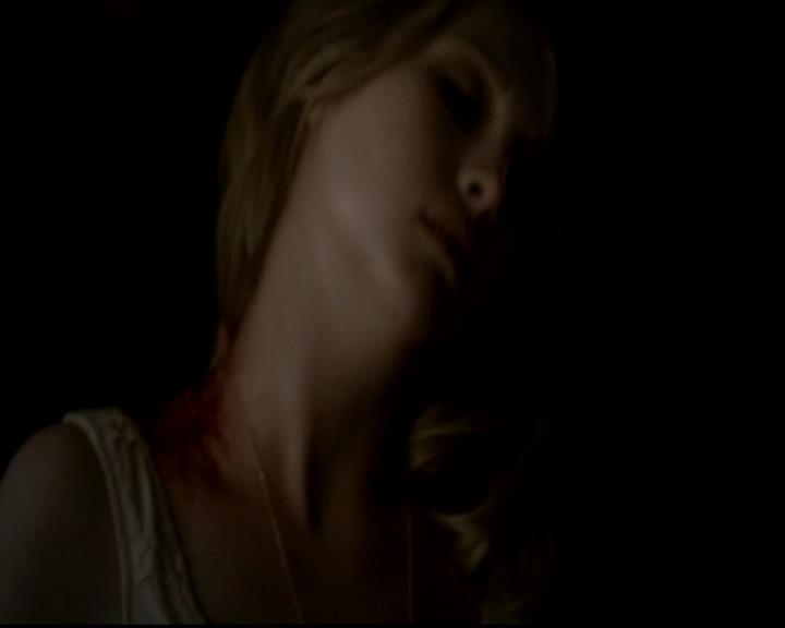 VampireDiariesWorld-dot-org_4x13IntoTheWild2117.jpg