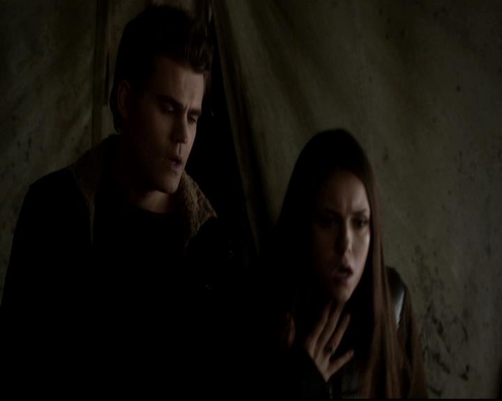 VampireDiariesWorld-dot-org_4x13IntoTheWild2156.jpg