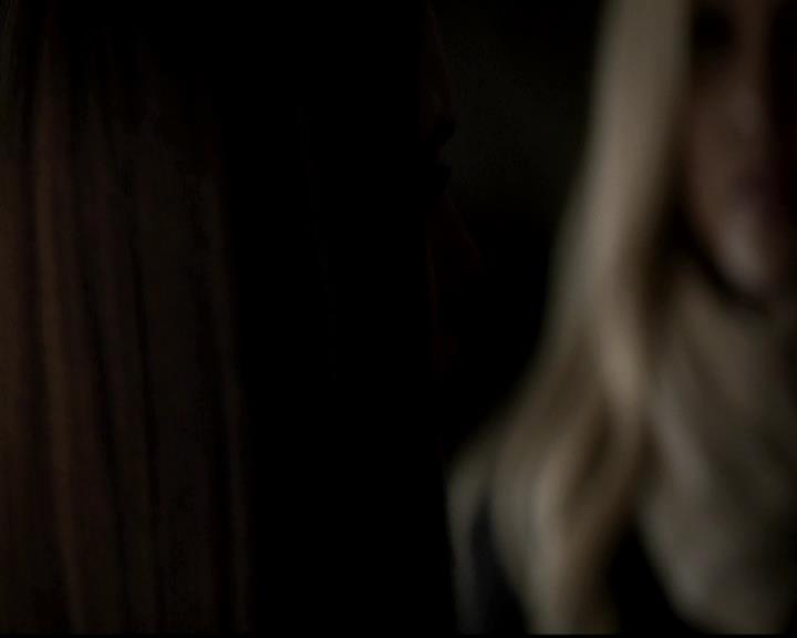 VampireDiariesWorld-dot-org_4x13IntoTheWild2230.jpg