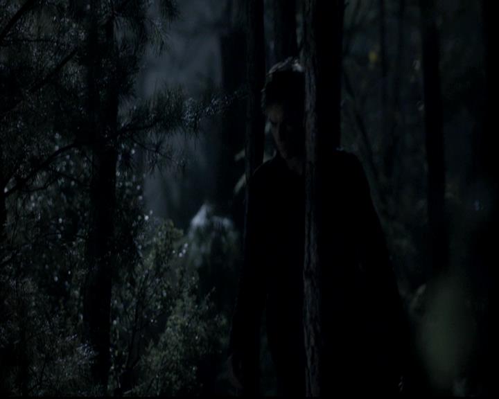 VampireDiariesWorld-dot-org_4x13IntoTheWild2295.jpg