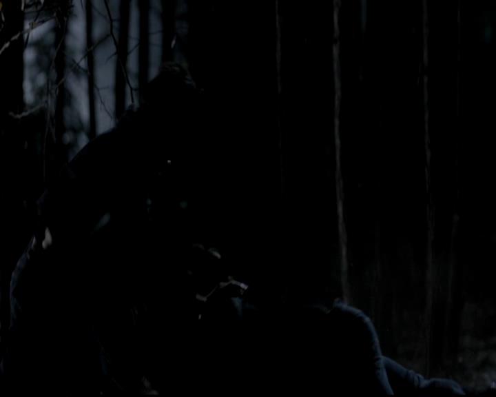 VampireDiariesWorld-dot-org_4x13IntoTheWild2309.jpg