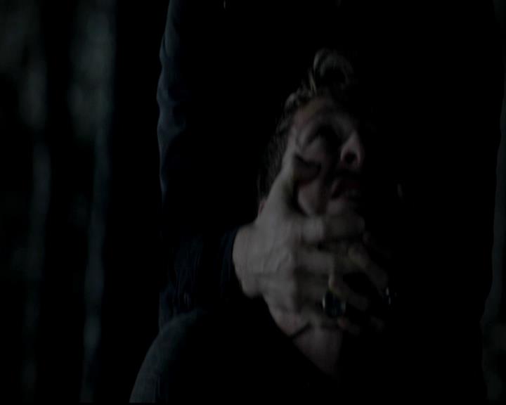 VampireDiariesWorld-dot-org_4x13IntoTheWild2317.jpg