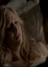 VampireDiariesWorld-dot-org_4x13IntoTheWild1608.jpg