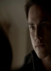 VampireDiariesWorld-dot-org_4x13IntoTheWild1611.jpg