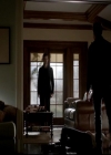 VampireDiariesWorld-dot-org_4x13IntoTheWild1637.jpg