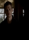 VampireDiariesWorld-dot-org_4x13IntoTheWild1644.jpg