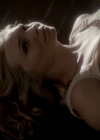 VampireDiariesWorld-dot-org_4x13IntoTheWild1651.jpg