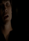 VampireDiariesWorld-dot-org_4x13IntoTheWild1691.jpg